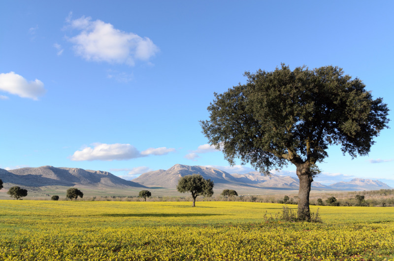 Galería fotográfica de Almería