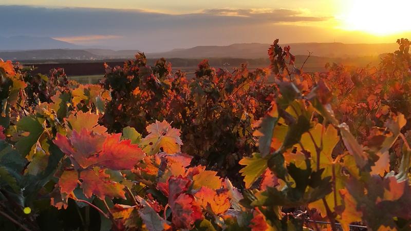 Galería fotográfica de La Rioja