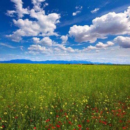 Galería fotográfica de La Rioja