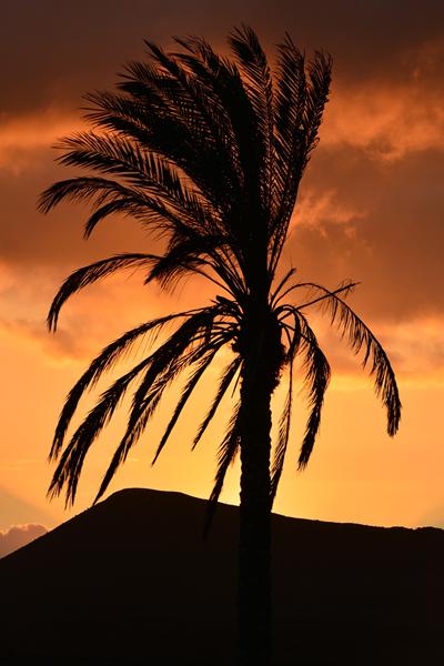 Galería fotográfica de Las Palmas