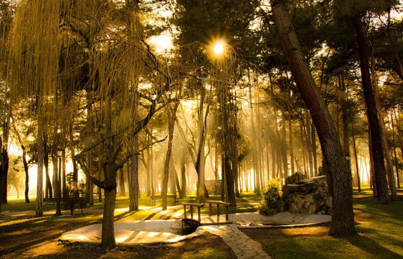 Galería fotográfica de León