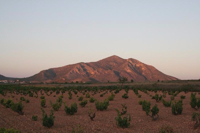 Galería fotográfica de Murcia