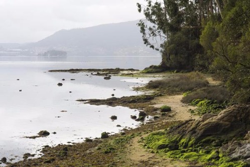 Galería fotográfica de Pontevedra