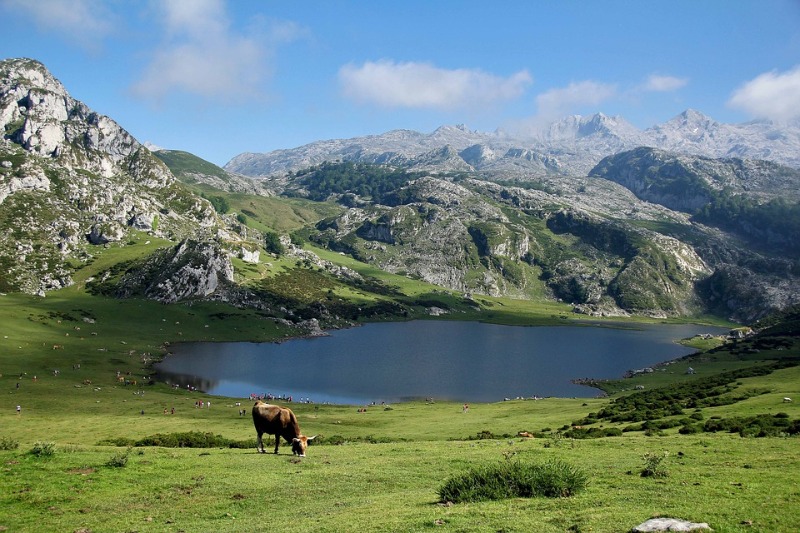 Galería fotográfica de Asturias