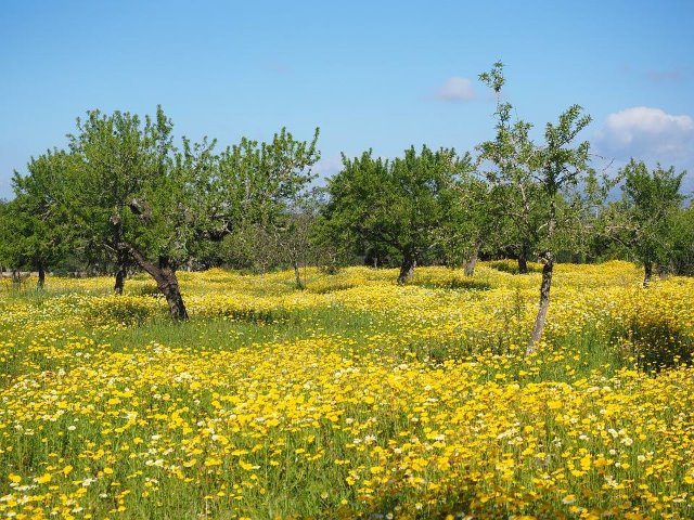 Galería fotográfica de Baleares