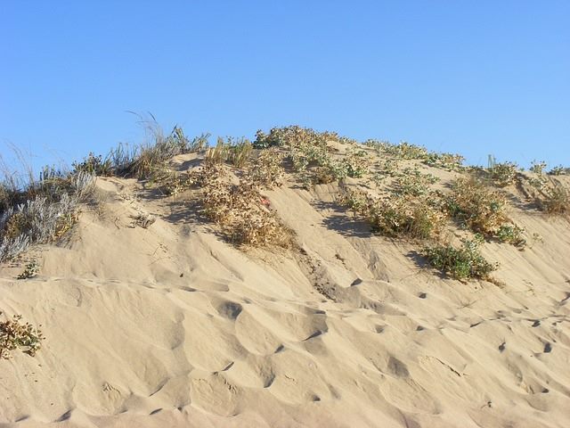 Galería fotográfica de Cádiz