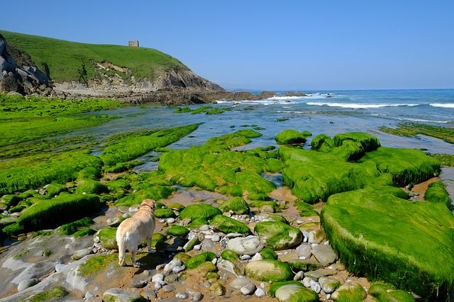 Galería fotográfica de Cantabria