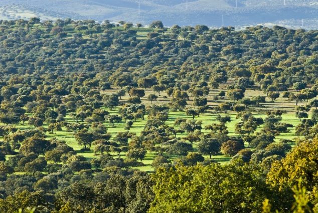 Galería fotográfica de España