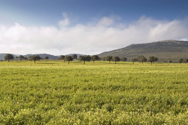 Galería fotográfica de España