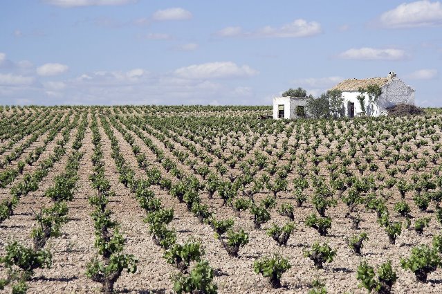 Galería fotográfica de Córdoba