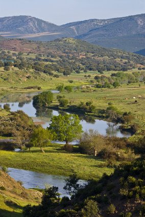 Galería fotográfica de Córdoba