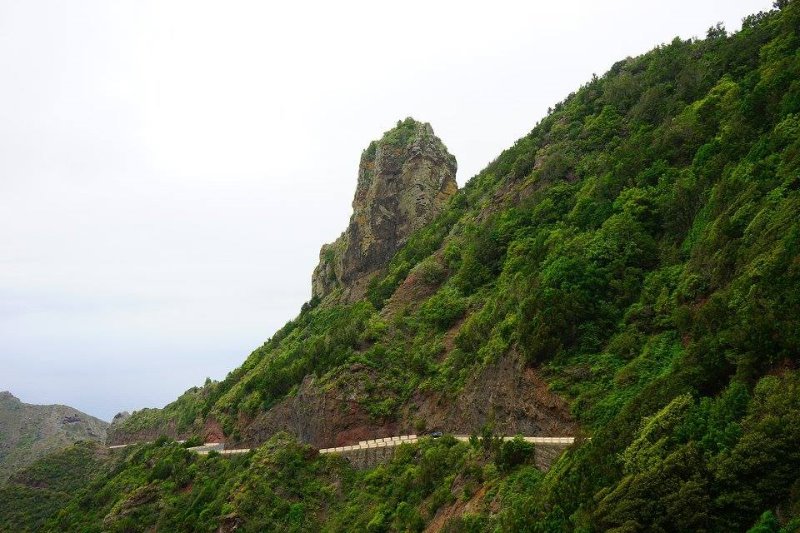 Galería fotográfica de Tenerife