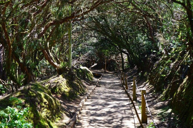 Galería fotográfica de Tenerife