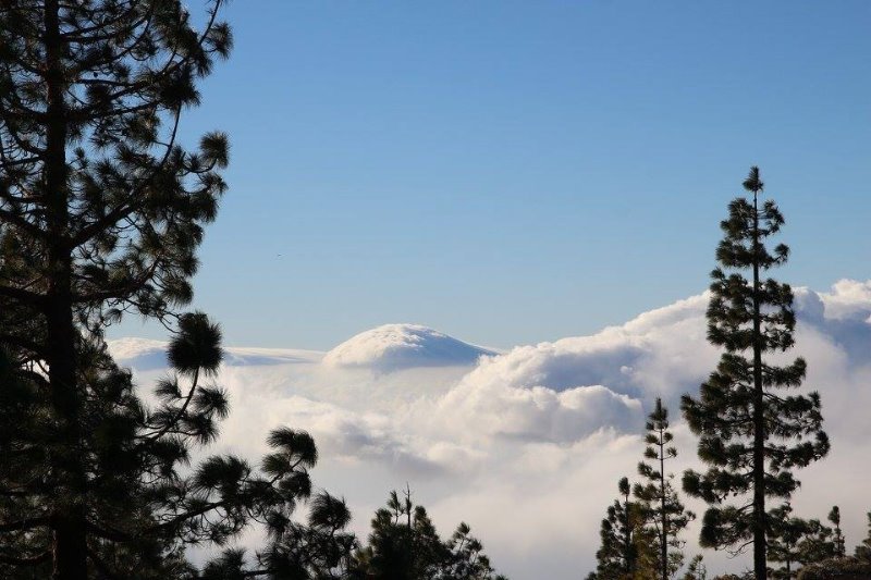 Galería fotográfica de Tenerife