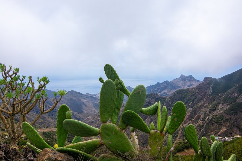 Galería fotográfica de Tenerife