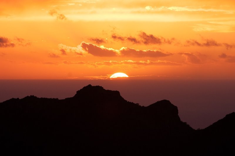 Galería fotográfica de Tenerife