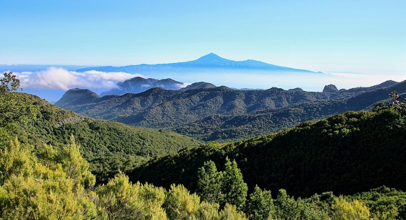 Galería fotográfica de Tenerife