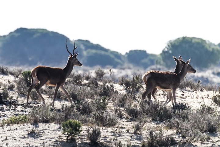 Galería fotográfica de España