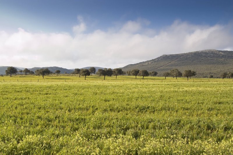 Galería fotográfica de Ciudad Real