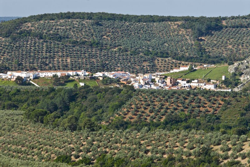 Galería fotográfica de España