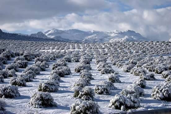 Galería fotográfica de Jaén