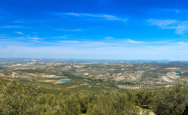 Galería fotográfica de Jaén