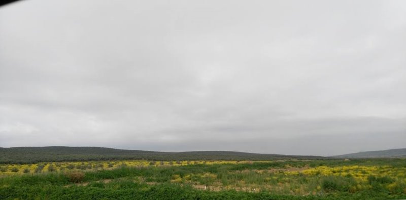 Galería fotográfica de Jaén