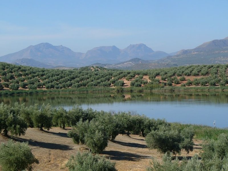 Galería fotográfica de Jaén