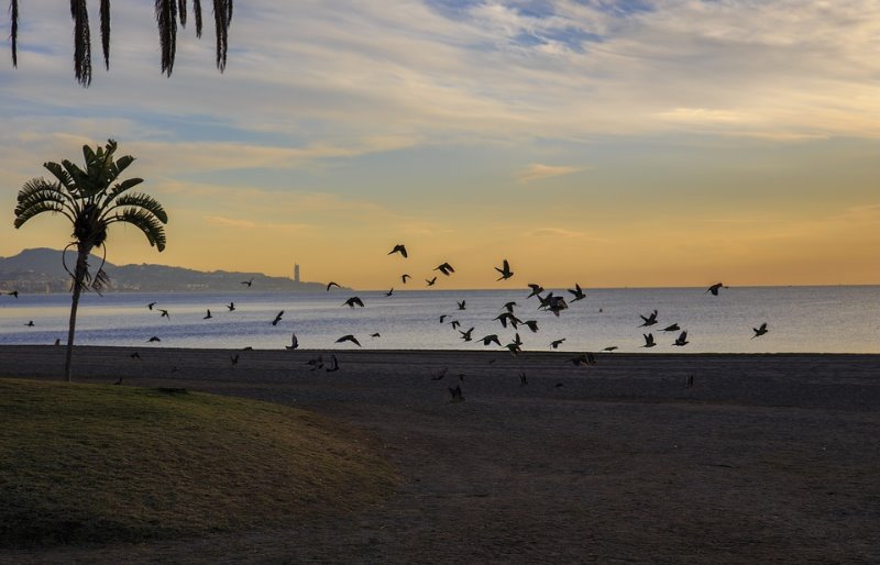 Galería fotográfica de Málaga