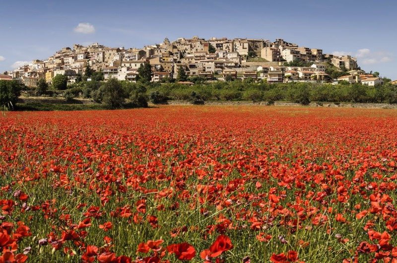 Galería fotográfica de Tarragona