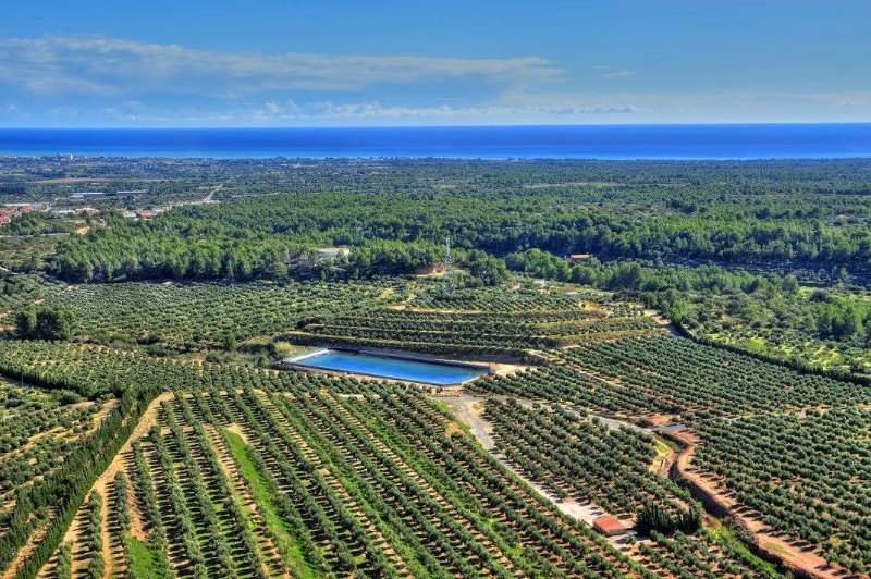 Galería fotográfica de Tarragona