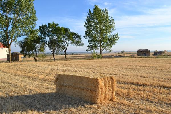 Galería fotográfica de España