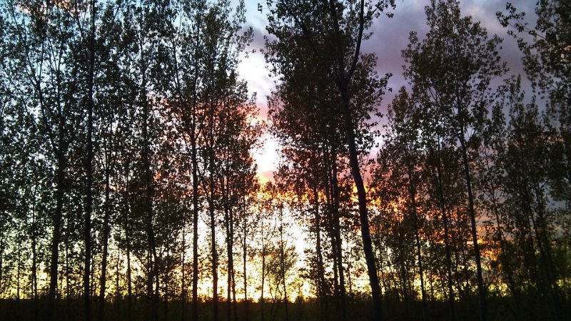 Galería fotográfica de Huesca