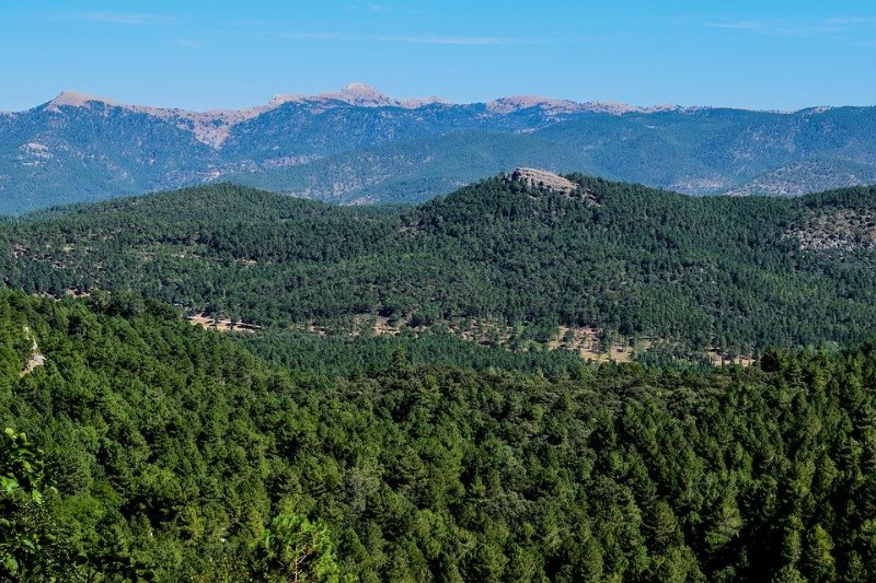 Galería fotográfica de Albacete