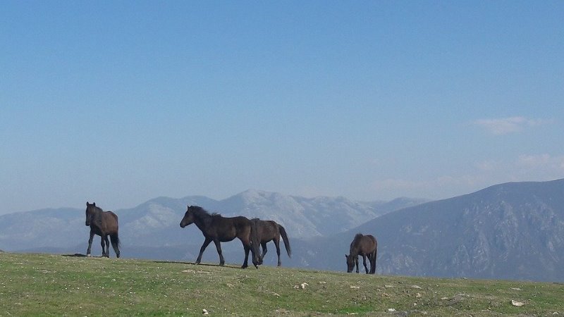 Galería fotográfica de Asturias