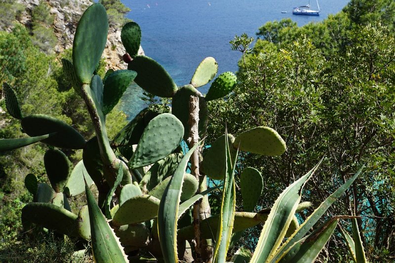 Galería fotográfica de Baleares