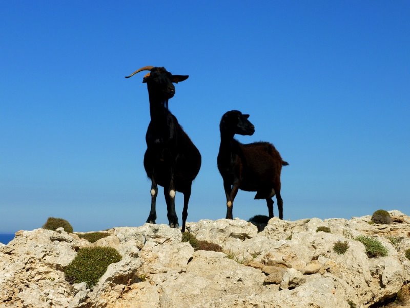 Galería fotográfica de España