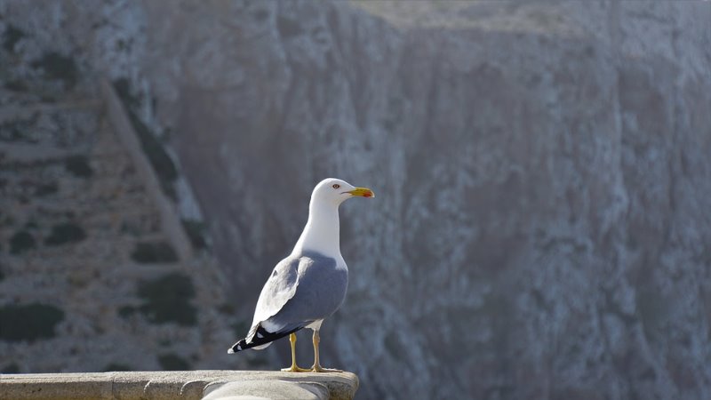 Galería fotográfica de España