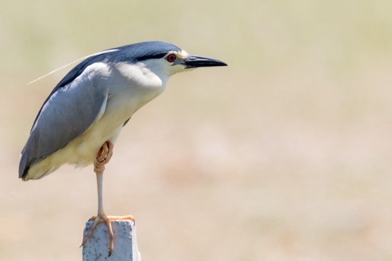 Galería fotográfica de Huelva
