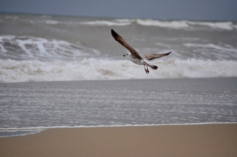 Galería fotográfica de Huelva