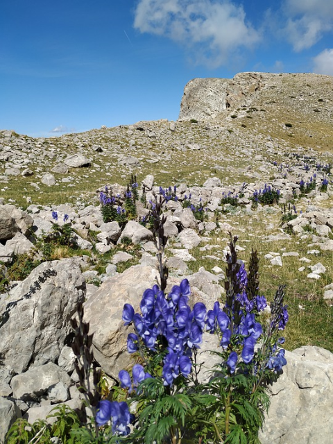 Galería fotográfica de Huesca