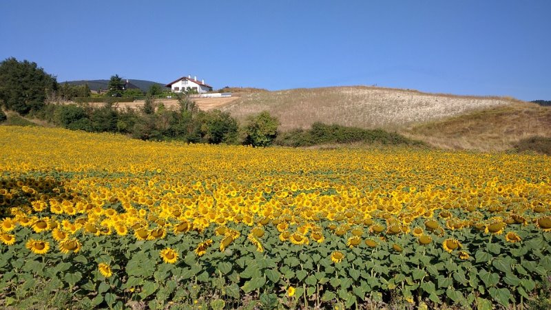 Galería fotográfica de Navarra