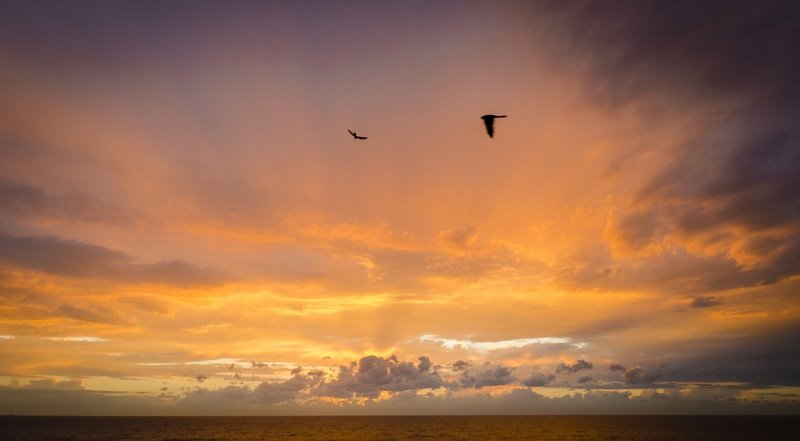 Galería fotográfica de Valencia