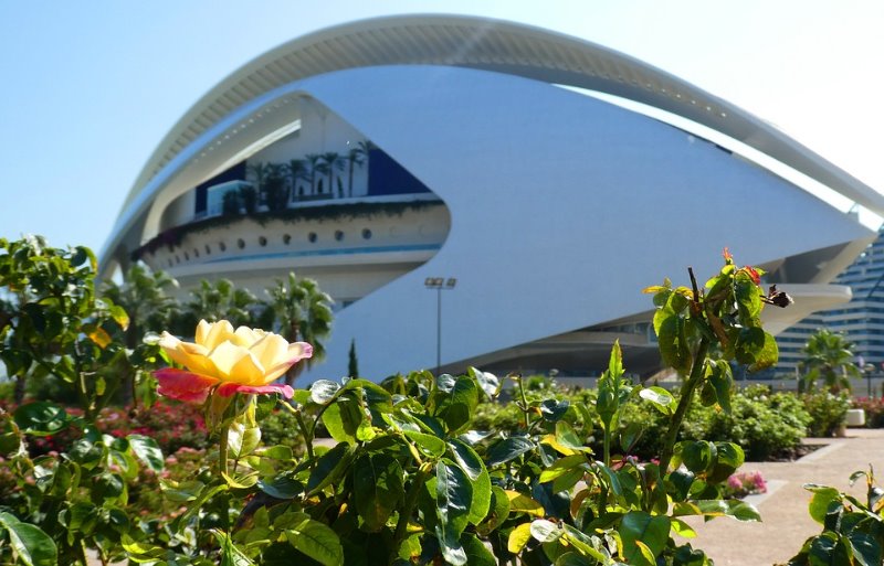 Galería fotográfica de Valencia