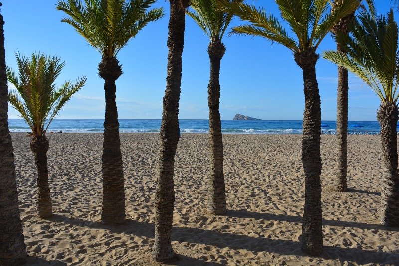 Galería fotográfica de Alicante