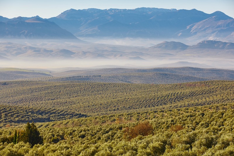 Galería fotográfica de Jaén