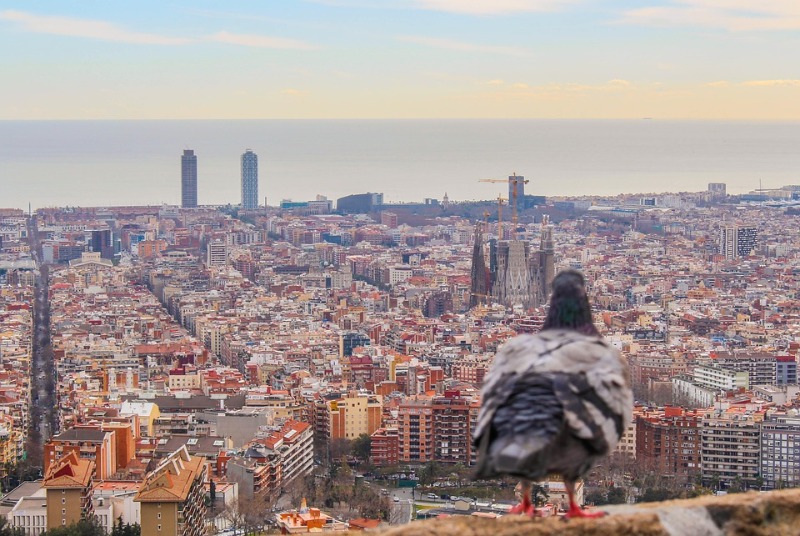 Galería fotográfica de España